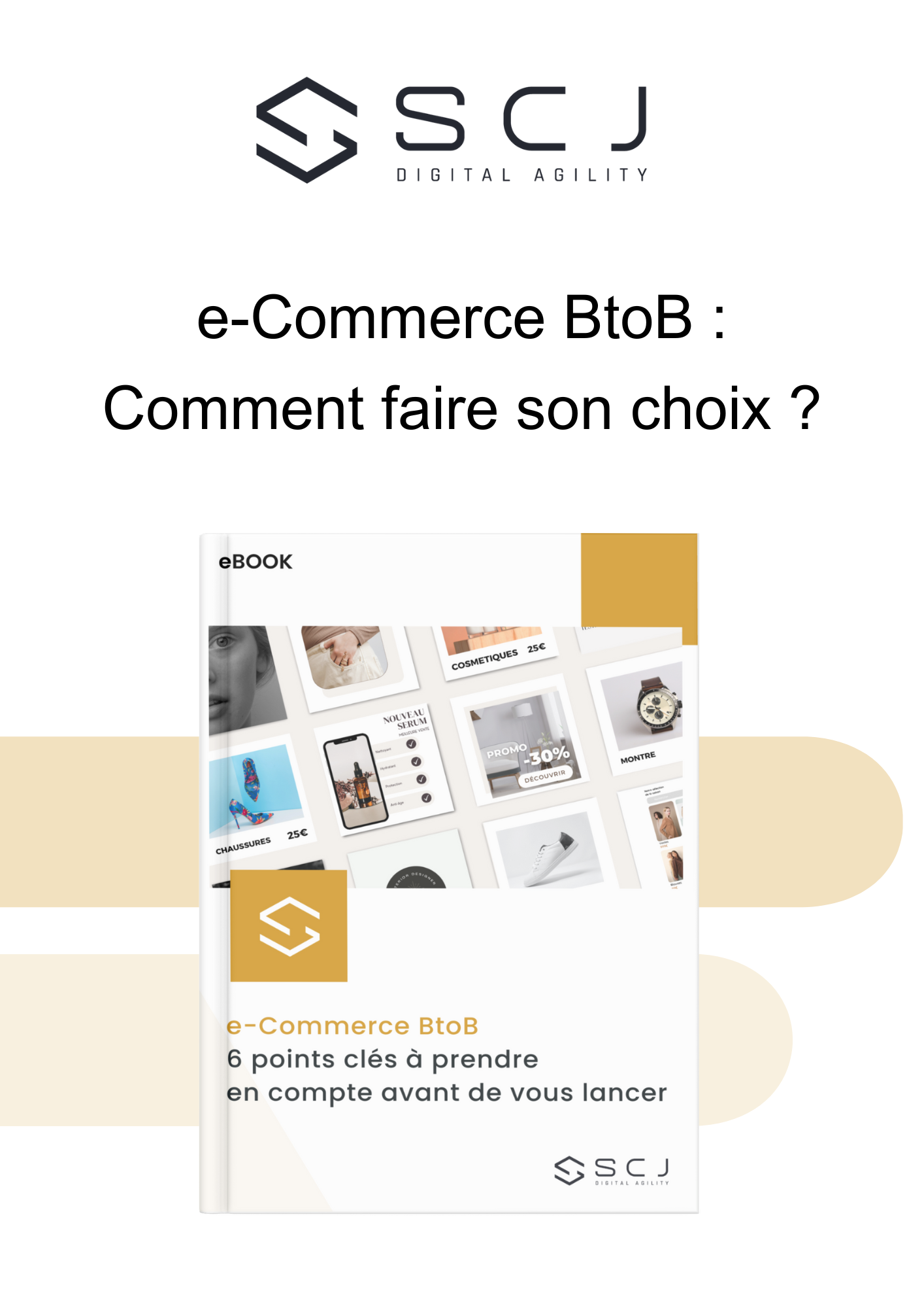 SCJ e-Commerce BtoB : Comment faire son choix ?